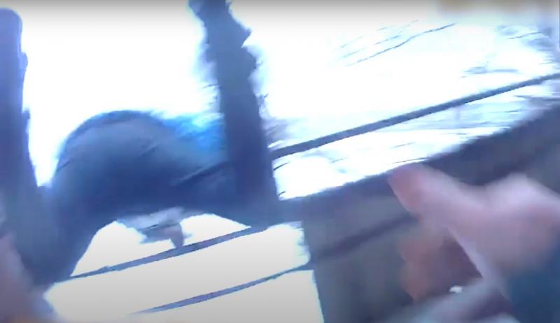  У Кременчуці чоловік, який вчиняв домашнє насильство, намагався вистрибнути з балкона 7 поверху: патрульні спіймали його за ноги 