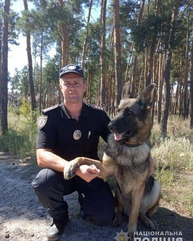 На Луганщині поліцейський собака Хант по слідах відшукав зниклого хлопчика