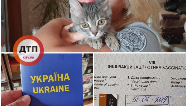 Серая девушка теперь Ася, едет в новый дом :)