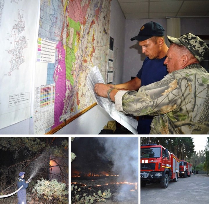 Пожежу у Чернігівській області ліквідовано