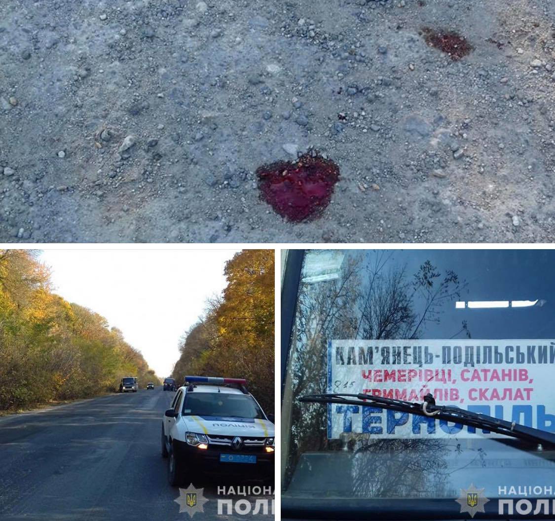На Тернопільщині дівчинка випала з автобуса і загинула