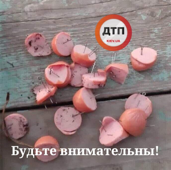 Внимание! В Киеве замечено новое извращение со стороны догхантеров и догхейтеров