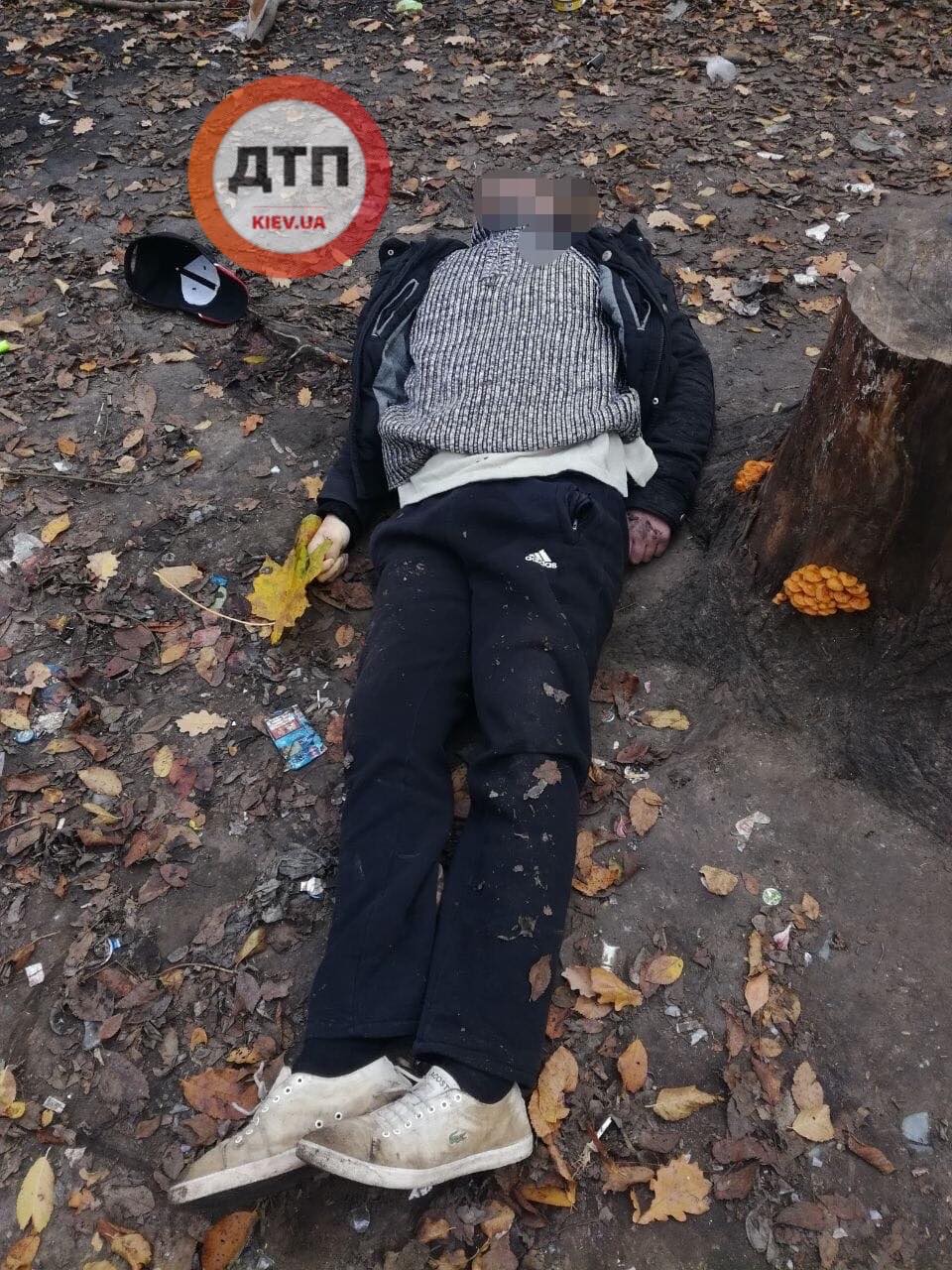Под Киевом в посадке нашли труп: полиция просит помощи в опознании мужчины