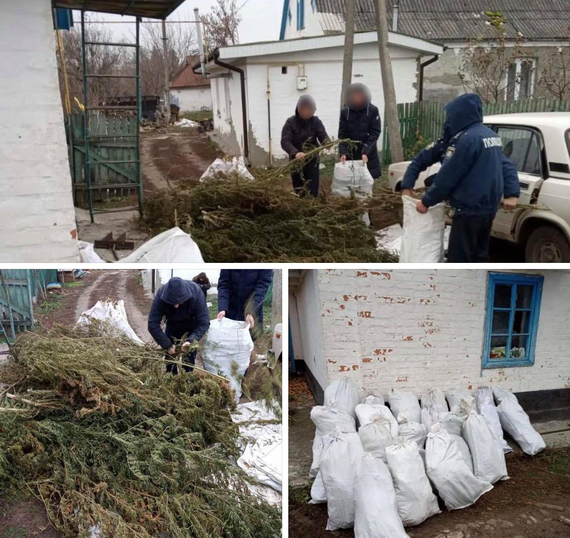 На Київщині поліція викрила нарковиробника