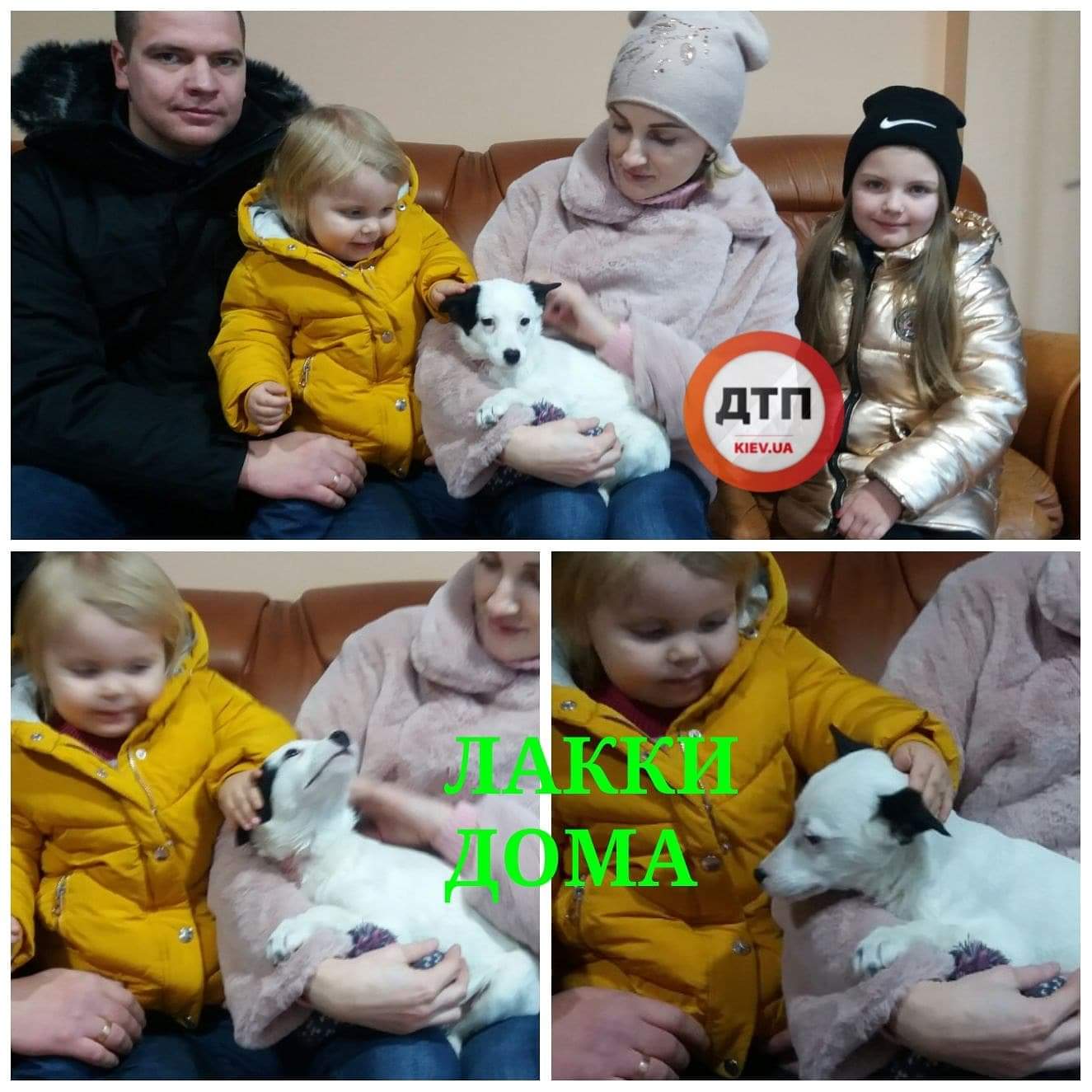 Собачка по кличке Лакки, которая два дня была закрыта в автомобиле ВАЗ, нашла новую семью