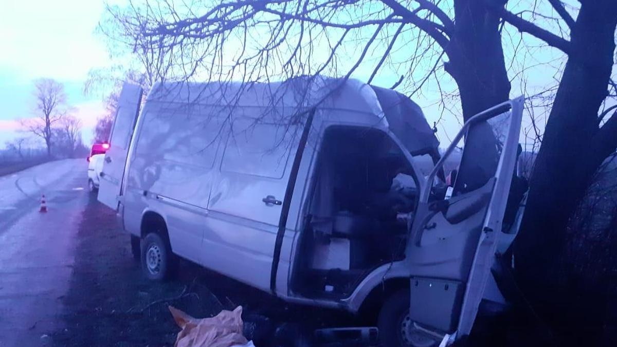 В Киевской области микроавтобус врезался в дерево: два человека погибли, один пострадал