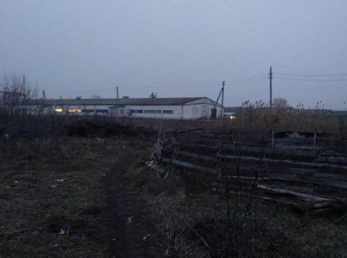 В Днепропетровской области мужчина до смерти забил мать и обратился в полицию