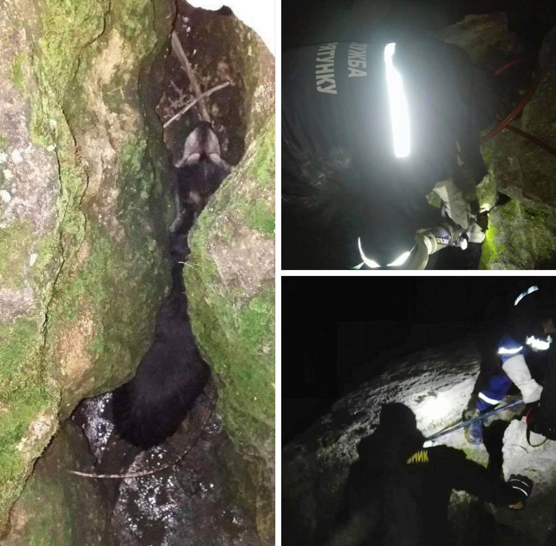 На Херсонщині рятувальники звільнили пса з кам'яної пастки на березі Дніпра