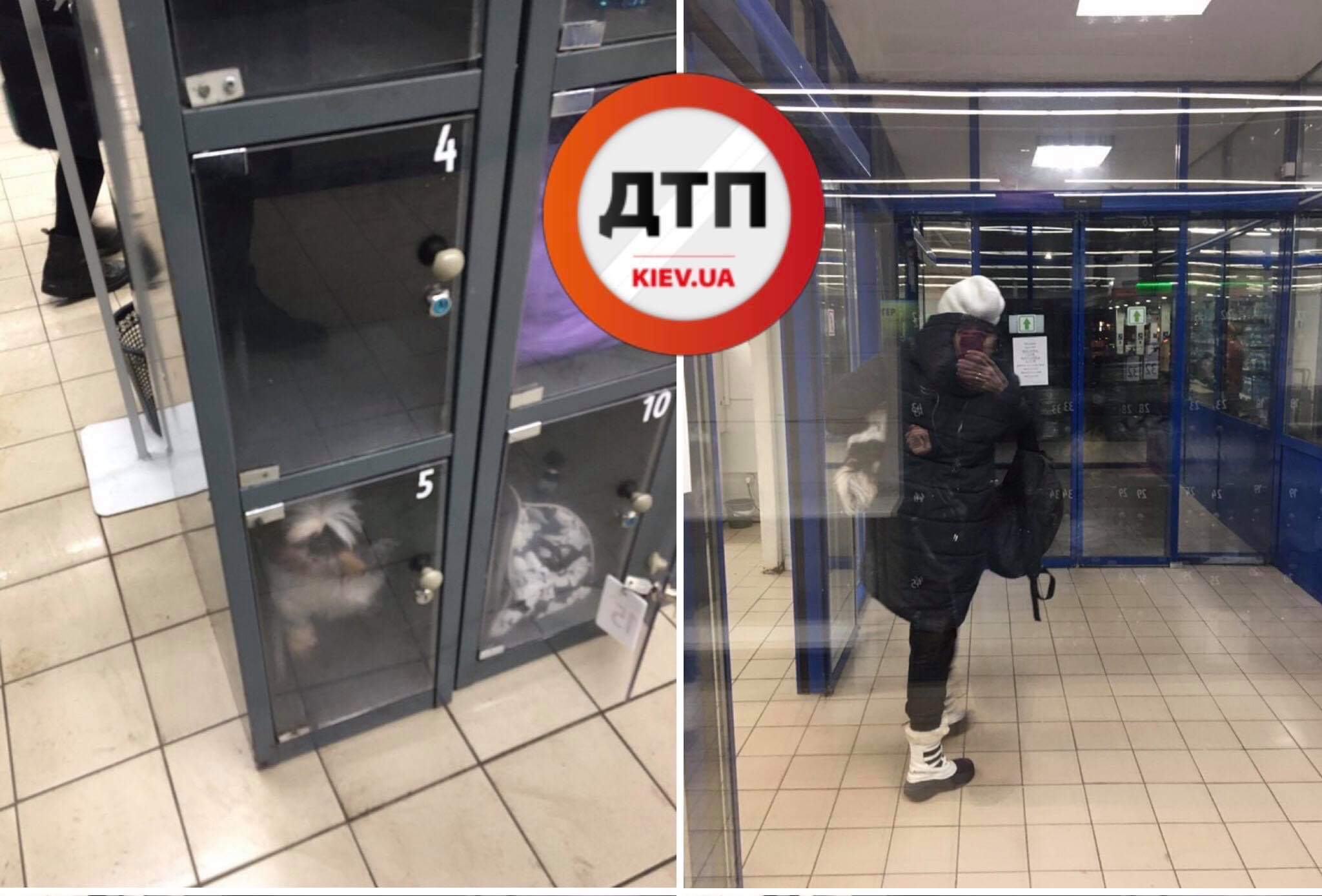 В Киеве в магазине АТБ на Чоколовском бульваре  в камере хранения оставили собаку