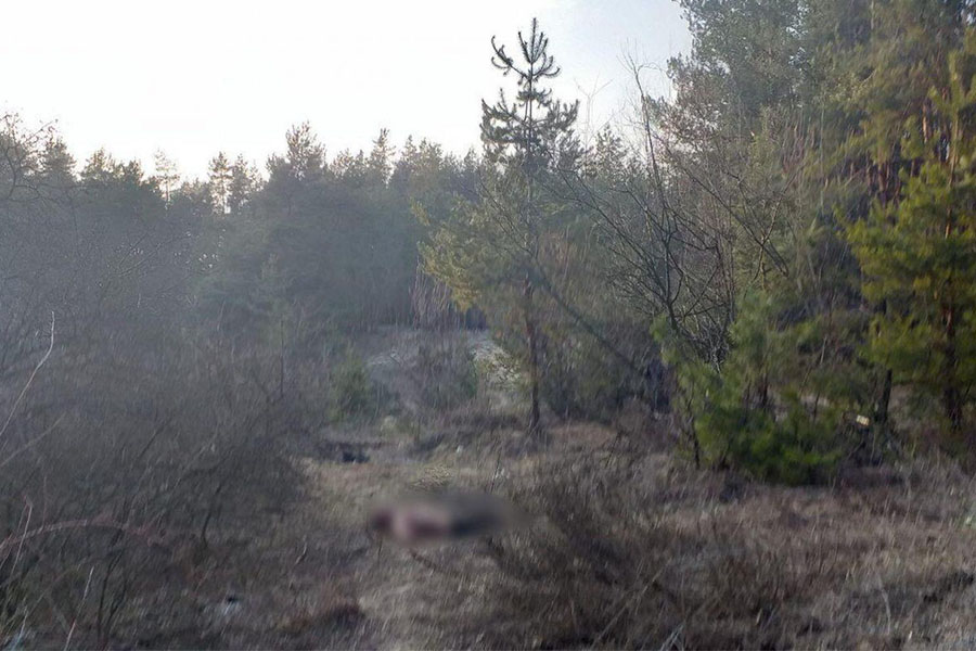 На Вінниччині в лісі знайшли мертвою жінку, яка зникла два дні тому