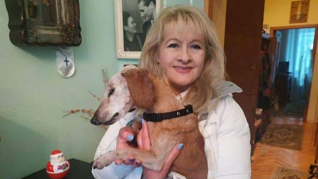 В Киеве умерла самая старая собака Украины
