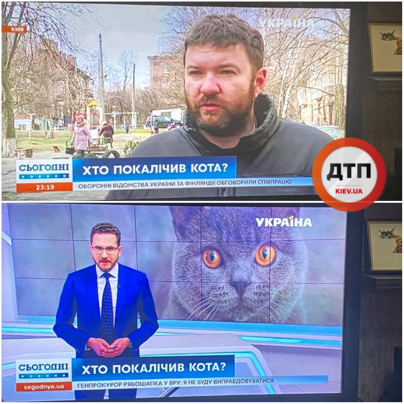 Сюжет про кота Мурчика, выброшенного с поломанным позвоночником в лесу, на телеканале Украина