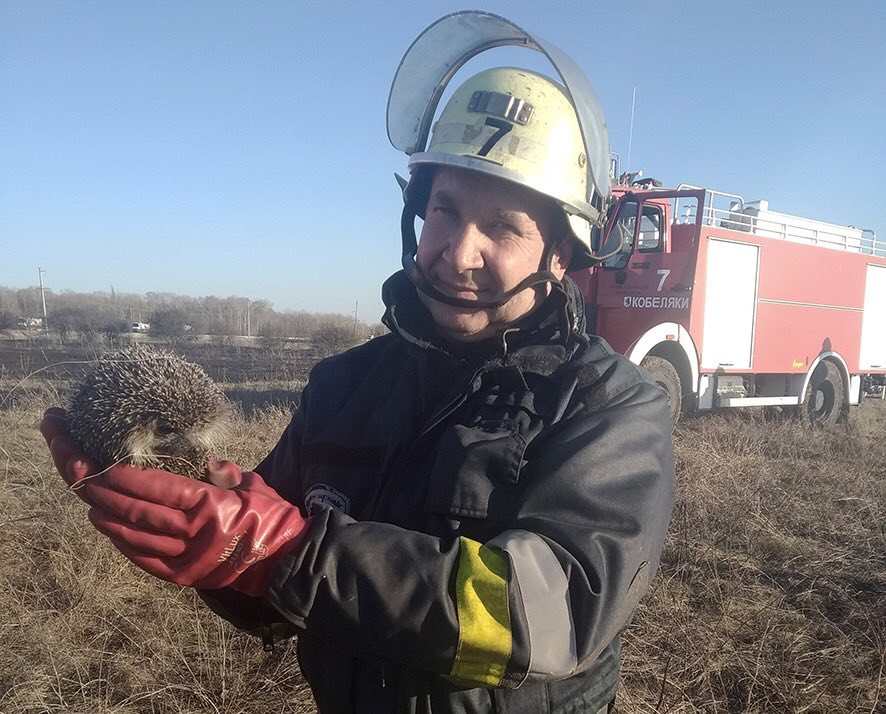 Упродовж 12 березня вогнеборці з підрозділів Головне управління ДСНС України у Полтавській області ліквідували 29 пожеж на відкритій території 