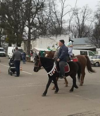 В Киеве в конном клубе "Мустанг" лошади живут в ужасных условиях и поддаются ежедневному насилию: подробности