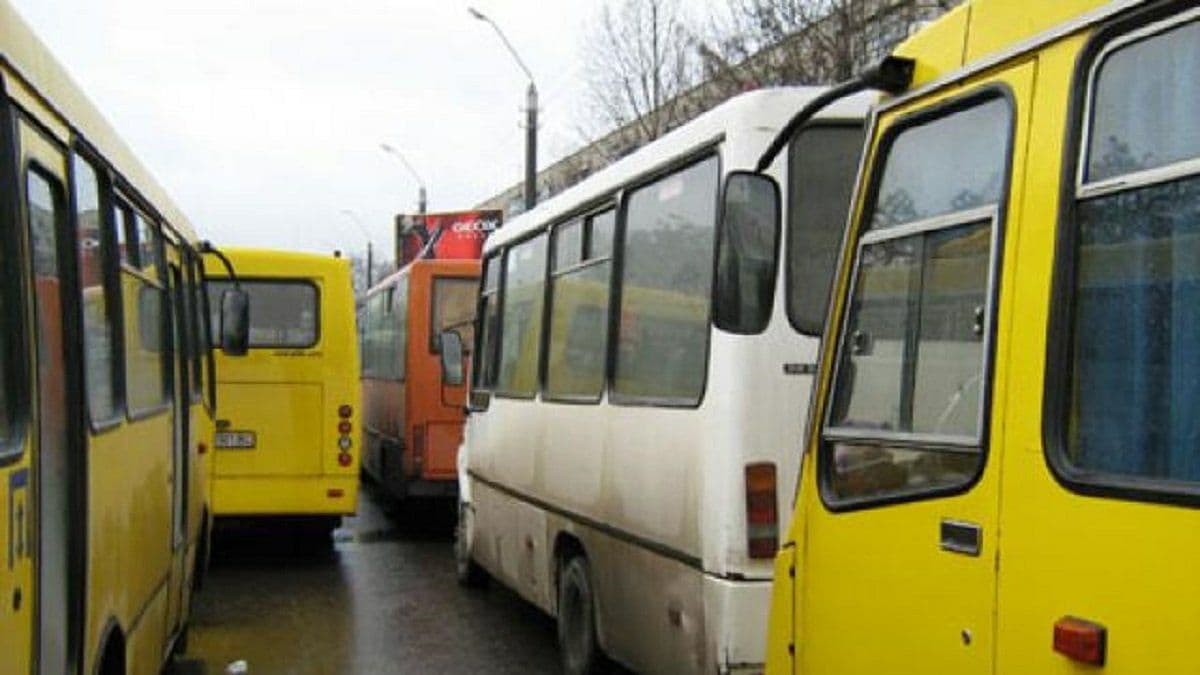 В Ужгороде временно остановят работу общественного транспорта