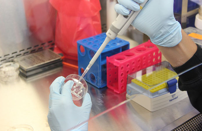 Ученые НУБиП разработали и готовы выпускать тест-системы на коронавирус