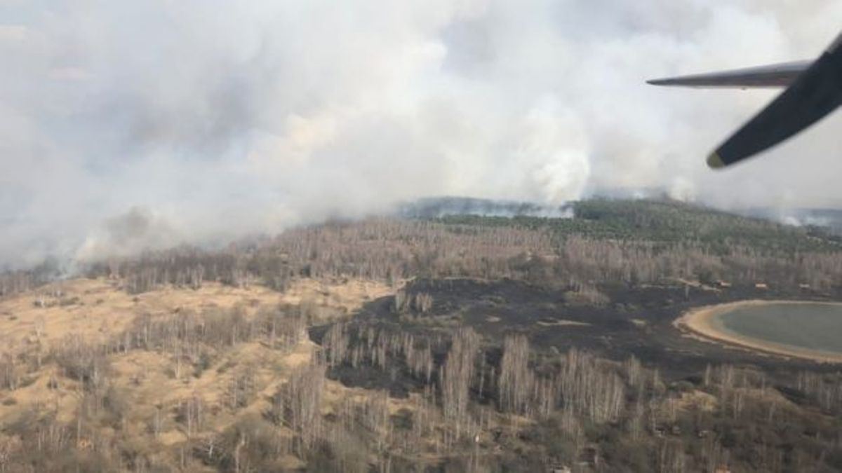 Под Киевом в Чернобыльской зоне горит 20 гектар леса: работает авиация