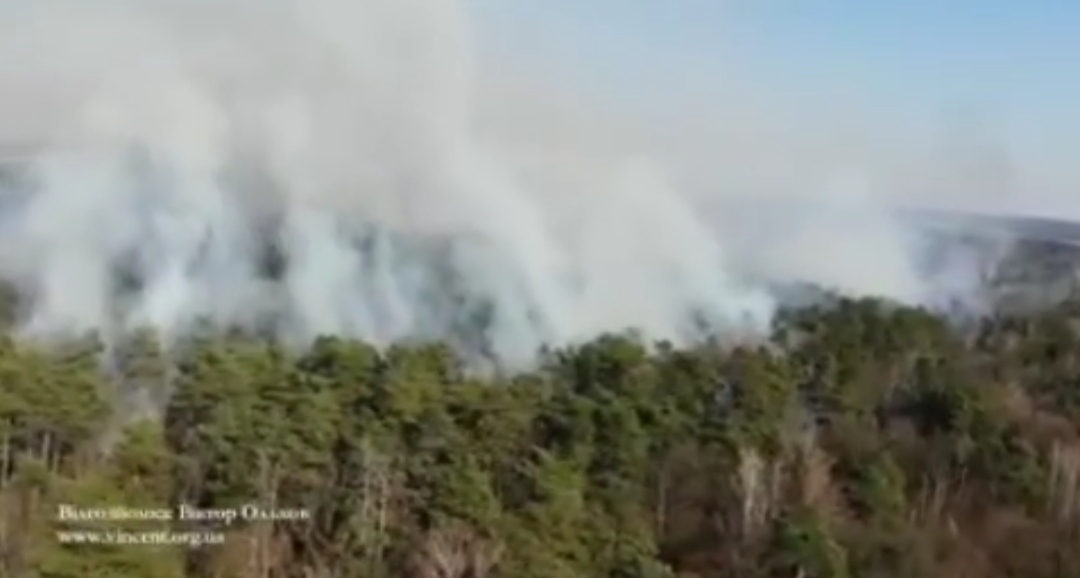 На Львівщині зняли шокуюче відео масштабів лісової пожежі