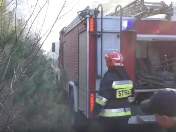 На Львівщині на кордоні з Польщею трапилася лісова пожежа