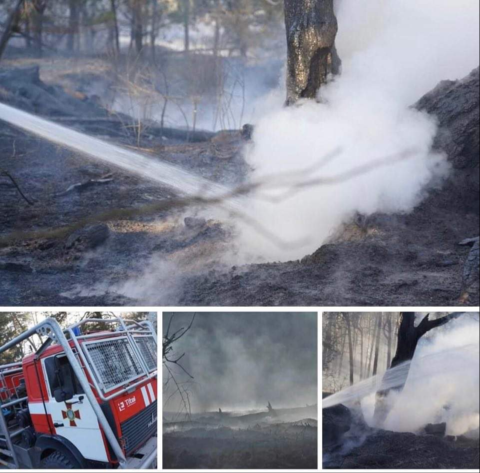 На Київщині гвардійські пожежники ліквідували масштабну лісову пожежу