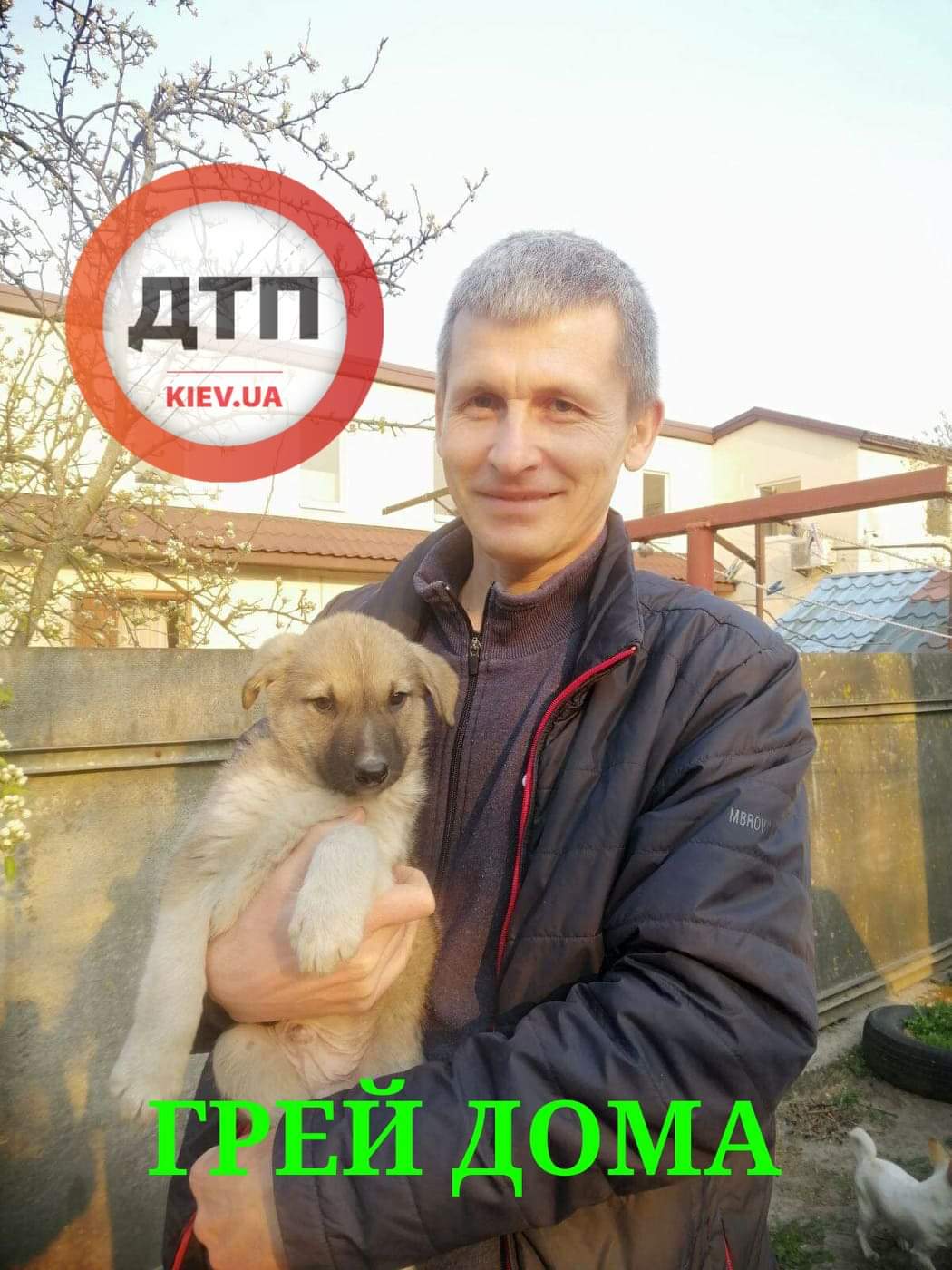 Спасённый щенок из ямы в центре Киева по кличке Грей обрёл новый дом