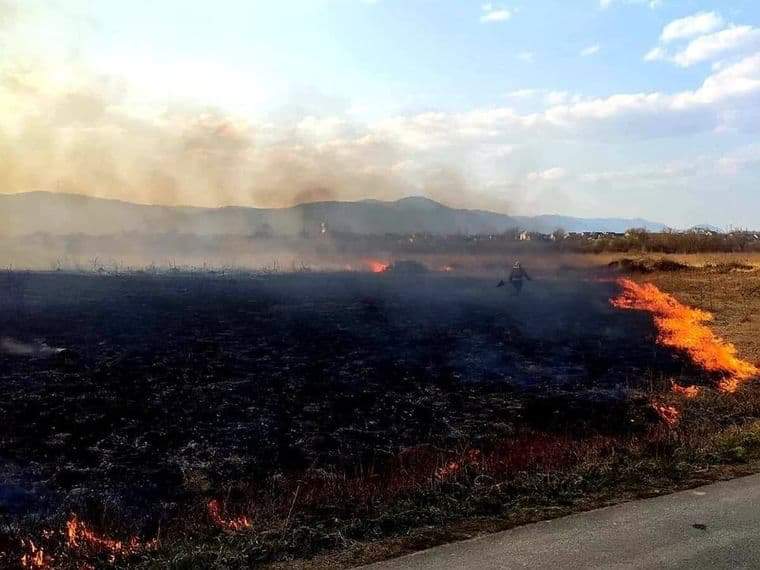 Підпалювачу “Долини нарцисів” загрожує до 12 років ув`язнення. 