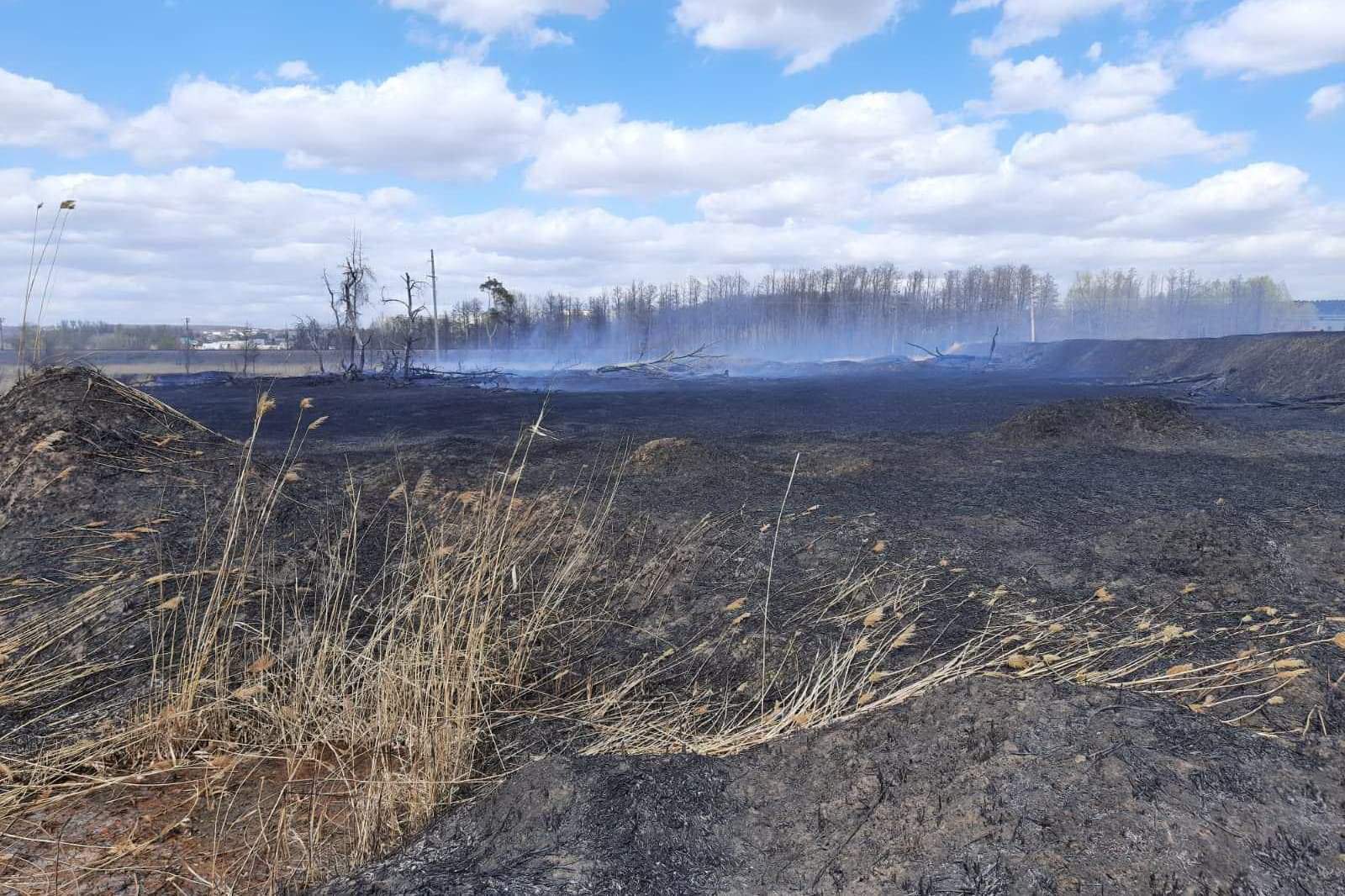 Украина в огне: на Харьковщине продолжаются пожары в экосистемах