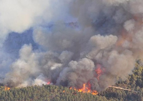 На Житомирщині і у Чорнобильській зоні продовжують гасити пожежі