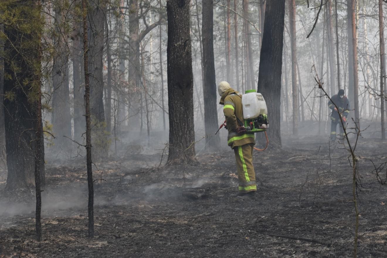 Станом на 7:00 22 квітня пожежу сухої трави та підстилки у Виступовицькому лісництві Овруцького району локалізовано