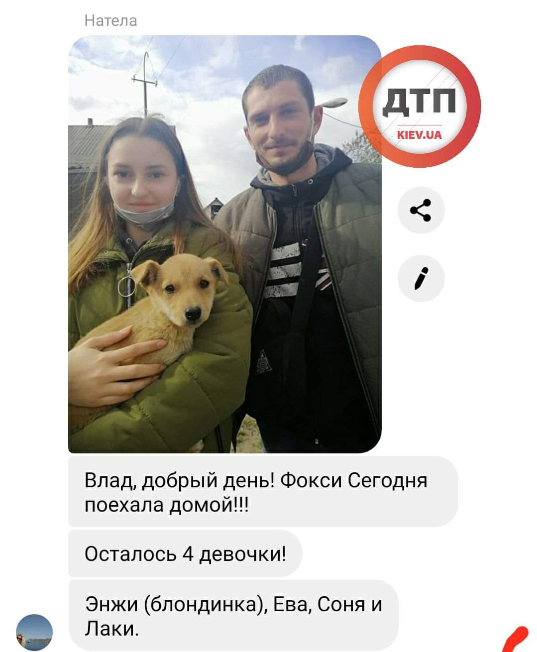 Шесть спасённых щенков из ямы в центре Киева обрели новый дом и любящую семью: осталось ещё четыре