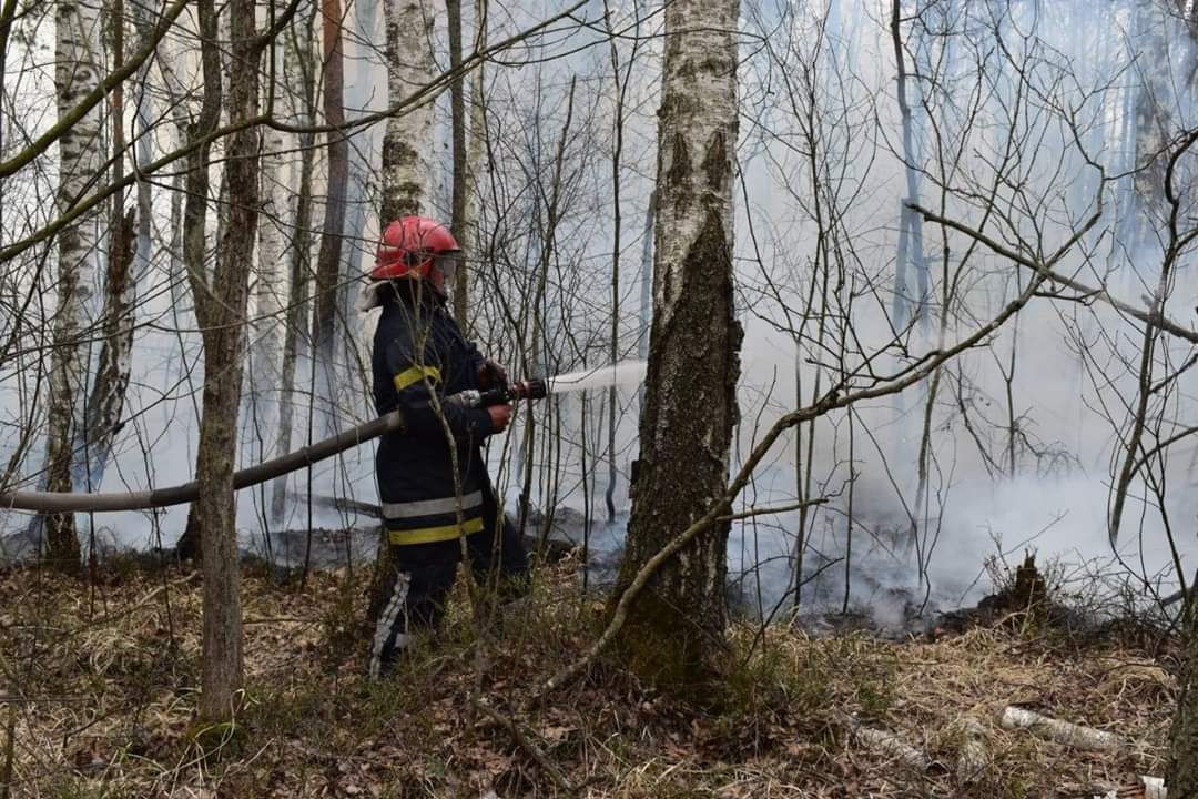 Продовжується ліквідація лісових пожеж на території Житомирської та Київської областей