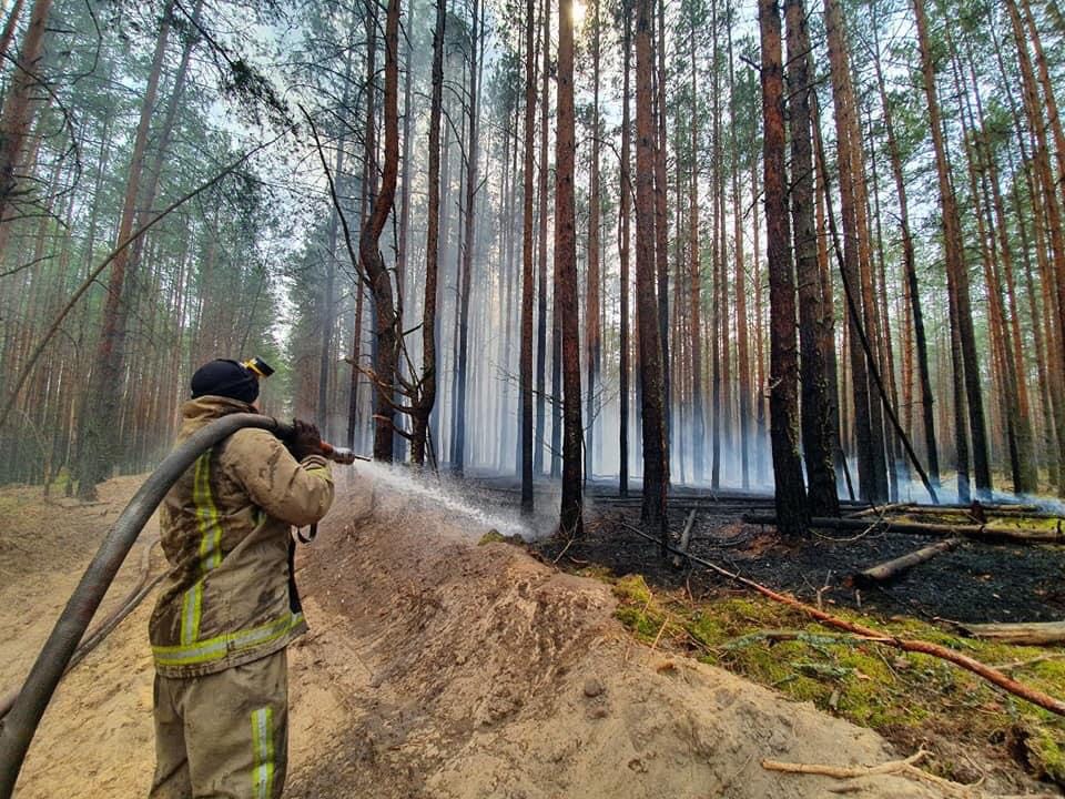 Оперативна інформація щодо ліквідації лісових пожеж на території Зони відчуження станом на 27 квітня