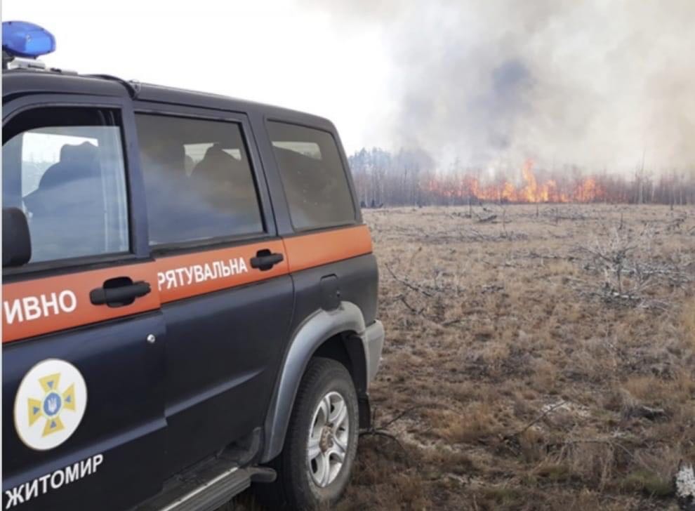 У Житомирській області на території Поліського природного заповідника трапилася пожежа - горить ліс та суха трава