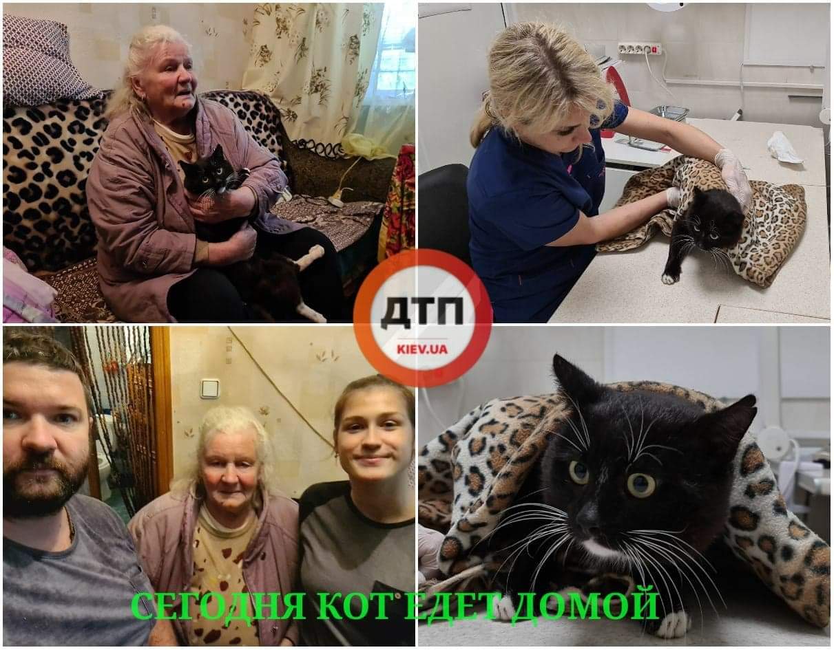 Кот Масик с поломанным позвоночником, которого спасала 82-летняя бабушка возвращается в свой дом