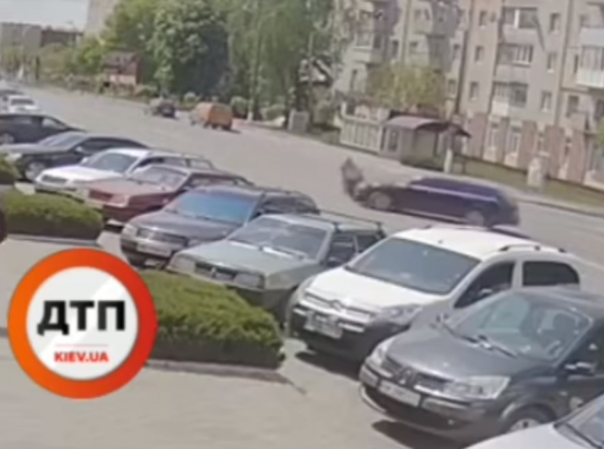 ДТП у Рівненській області - мотоцикл врізався у автомобіль, який не надав перевагу у русі: відео