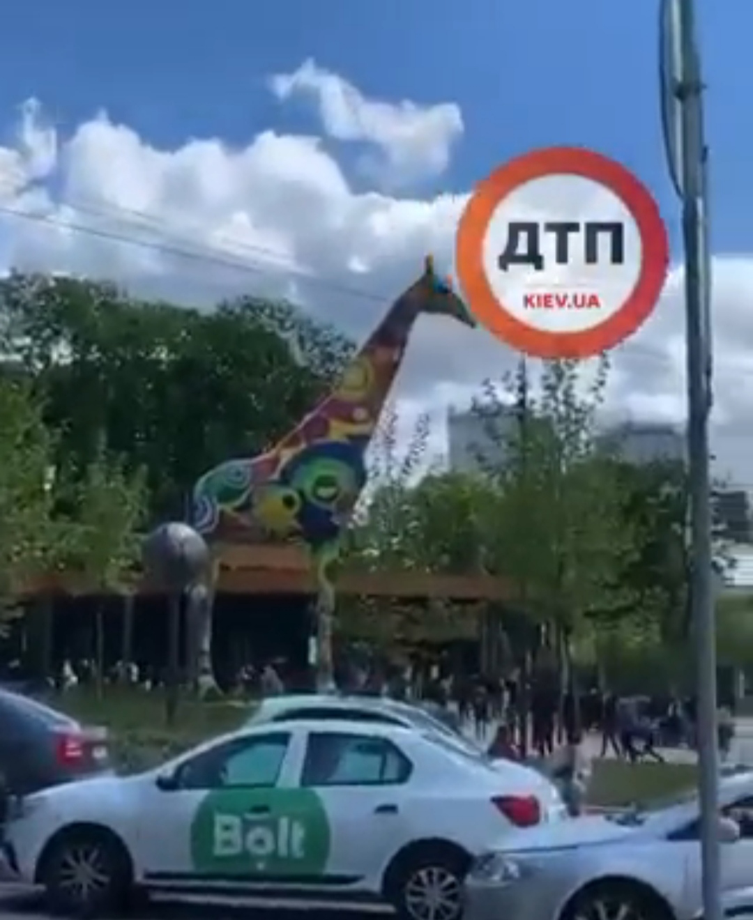 В Киеве после реконструкции заработал зоопарк: несмотря на карантин толпы людей и детей рынулись посмотреть на животных