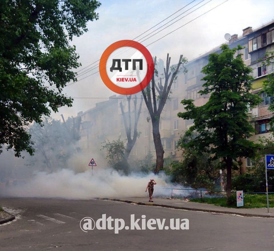 В Киеве на улице Метростроевская произошел пожар - неизвестный поджег срезанные ветки тополя