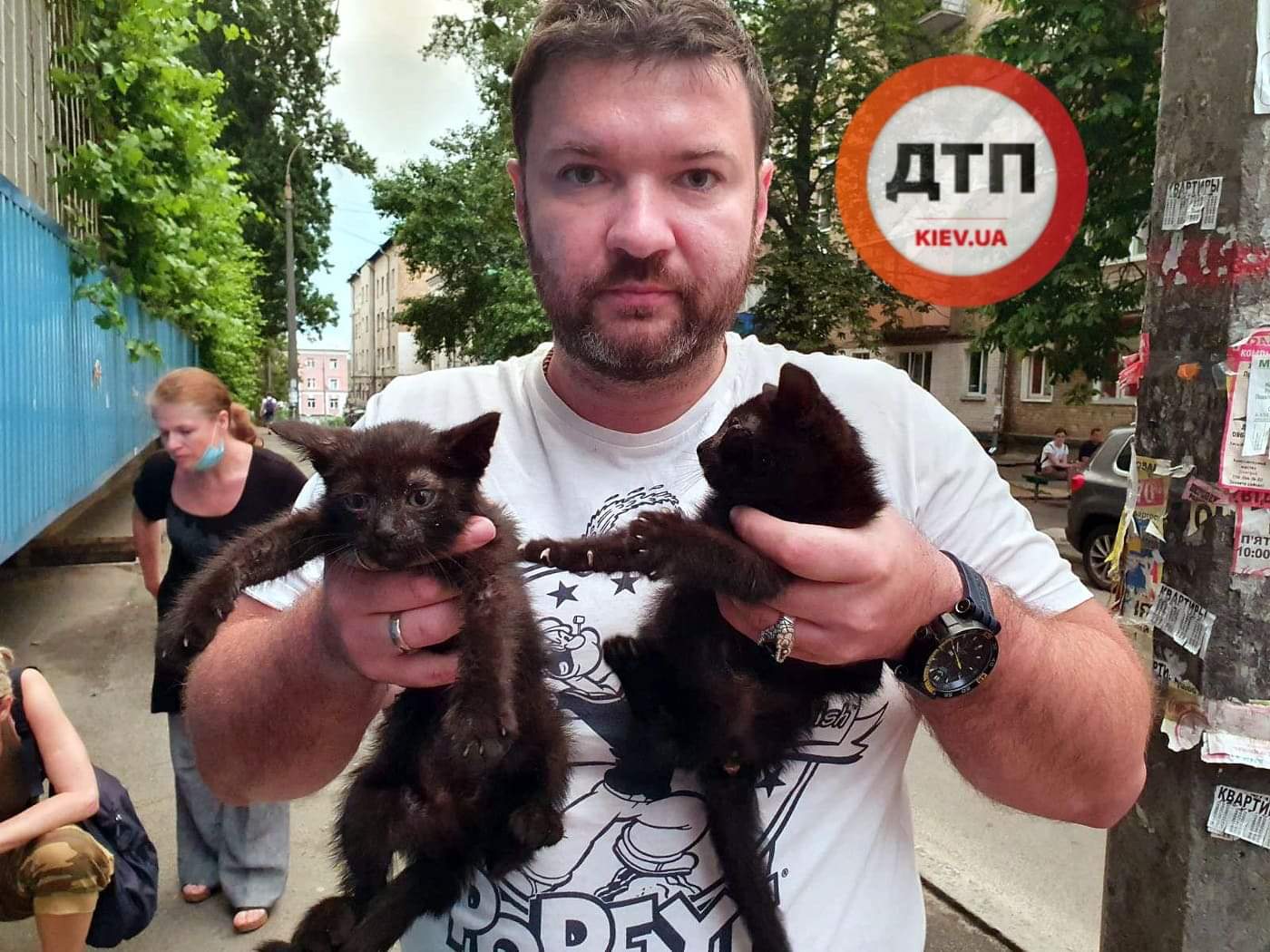 В Киеве на улице Богдановской умирают двое маленьких котят: сбор средств на лечение