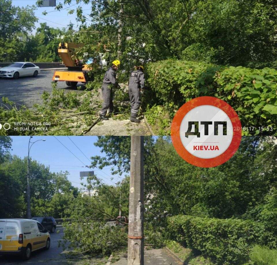 ЧП в Киеве на Подольском спуске - на проезжую часть упало дерево: ликвидировали спасатели КАРС