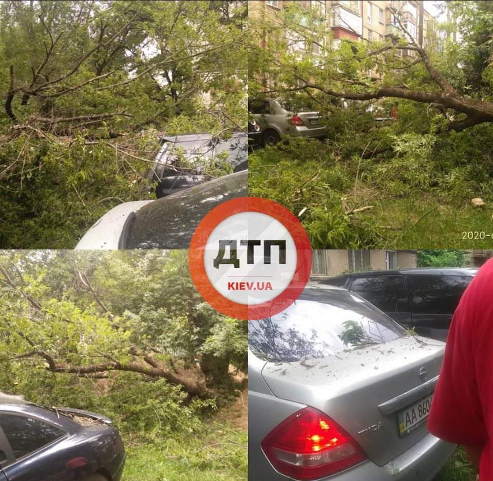 В Киеве на улице Антонова произошло серьезное ЧП - дерево упало на припаркованный автомобиль: на месте работают спасатели КАРС
