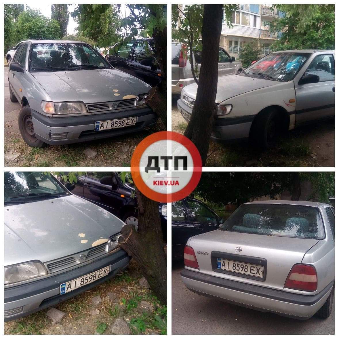 В Киеве на улице Каунасской пьяный неадекватный водитель Nissan врезался в дерево и неадекватно смеясь убежал с места ДТП