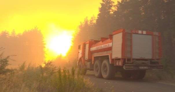 В Луганской области вспыхнул крупный лесной пожар: повреждены 60 гектаров