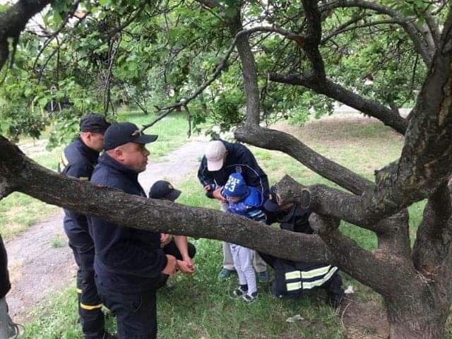 У Черкасах рятувальники звільнили ногу 5-річного хлопчика, який застряг між гілками дерева