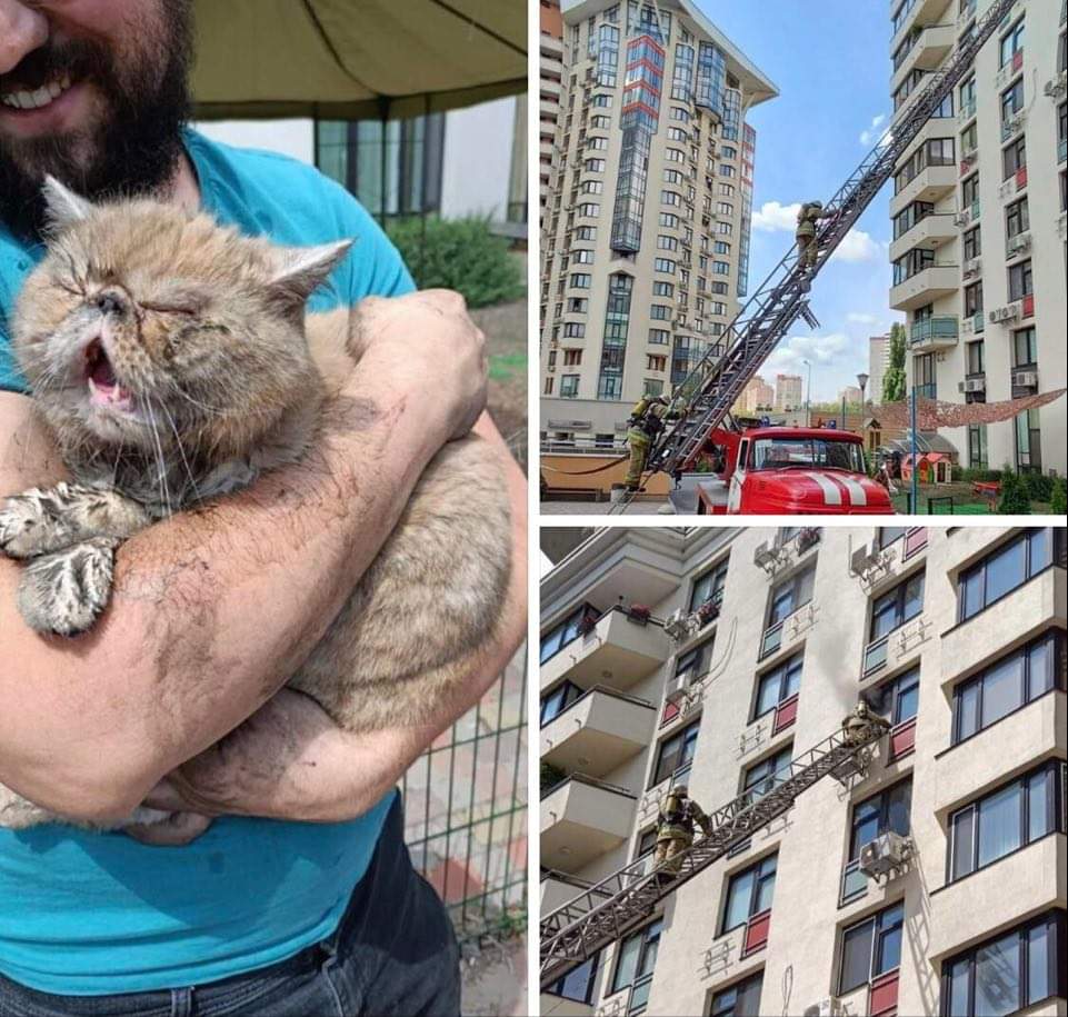 У Києві на вулиці Ломоносова сталася серйозна пожежа у квартирі на 8 поверсі багатоповерхівки: вогнеборці врятували кота
