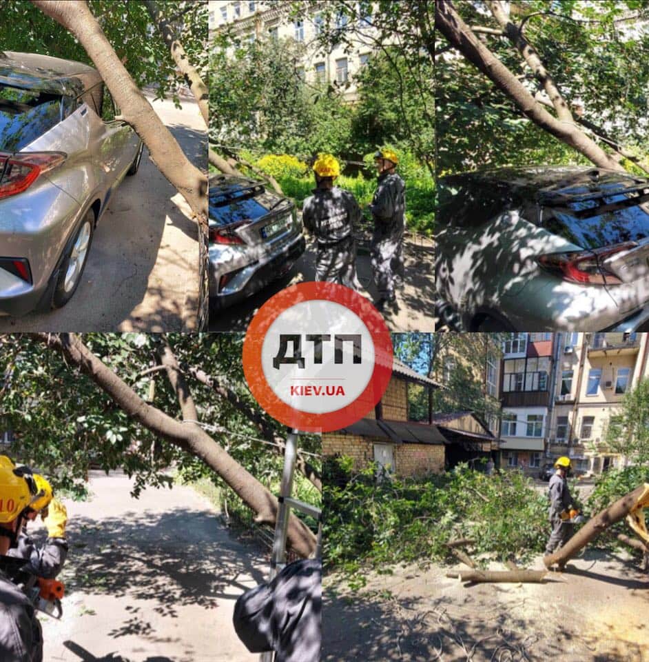 У Києві на Михайлівській аварійне дерево привалило автомобіль
