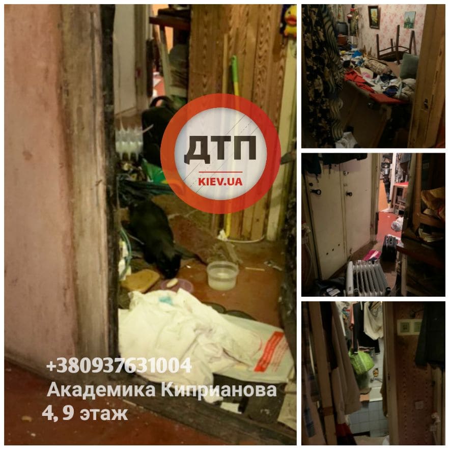 В Киеве кошка, чудом выжившая в квартире с умершим хозяином и обратно запечатанная в квартире полицией очень ищет дом
