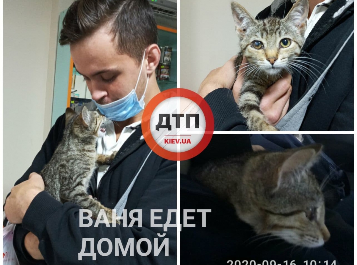 Котенок Ваня едет домой к нашему читателю Ярославу