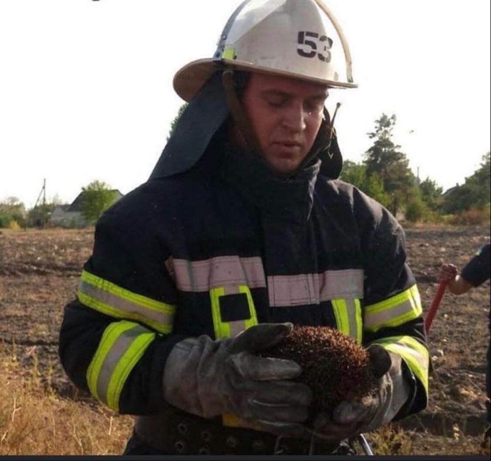 На Дніпропетровщині пожежні врятували їжачка під час гасіння пожежі сухої трави, який ховався від вогню в автомобільній покришці