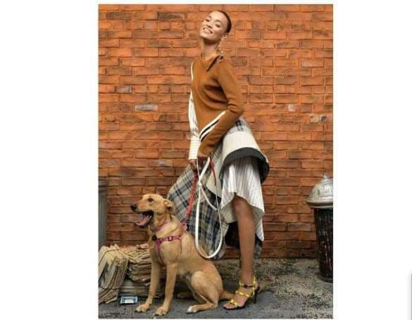 Бездомная собака из Запорожья попала на страницы модного глянцевого журнала Vogue