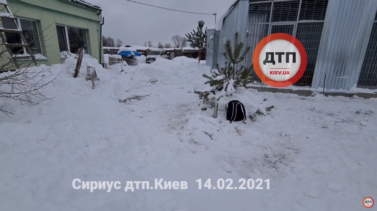 Сегодня у нас была напряжённая трёхчасовая работа по расчистке снега в приюте Сириус под Киевом